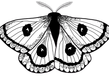 Návrhy tetování, loga, kresba na přání